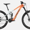 Canyon Strive CFR Underdog
