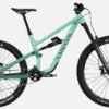 Canyon Torque 5 (Mullet)